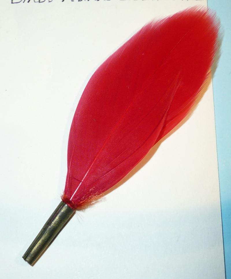Duke of Cornwall's Light Infantry (DCLI) Red Feather Plume Badge Backing as worn on the Slouch Hat