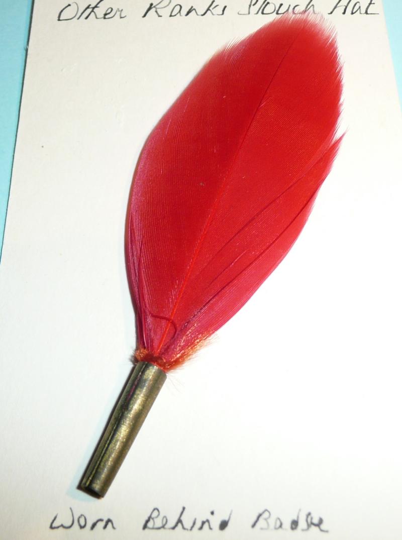 Duke of Cornwall's Light Infantry (DCLI) Red Feather Plume Badge Backing as worn on the Slouch Hat