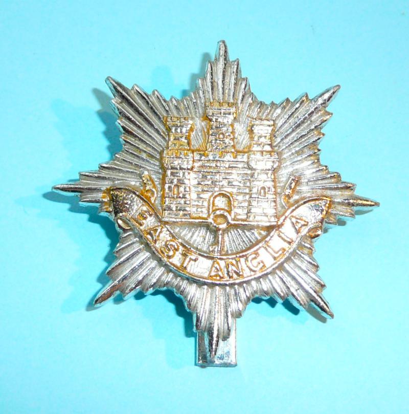 East Anglian Brigade AA Anodised Aluminium Staybrite Other Rank's Cap Badge